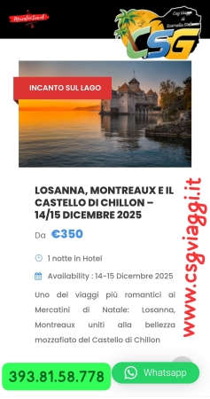 Mercatini di Natale a Losanna Mercatini di Natale