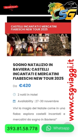 Mercatini di Natale tra i Castelli della Baviera Mercatini di Natale