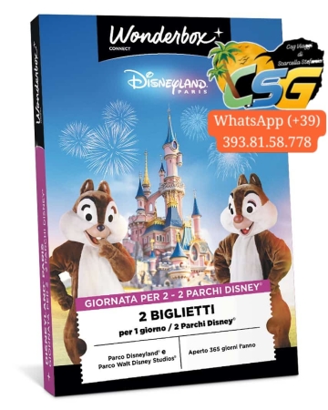 Cofanetto Disneyland Paris Blak Friday